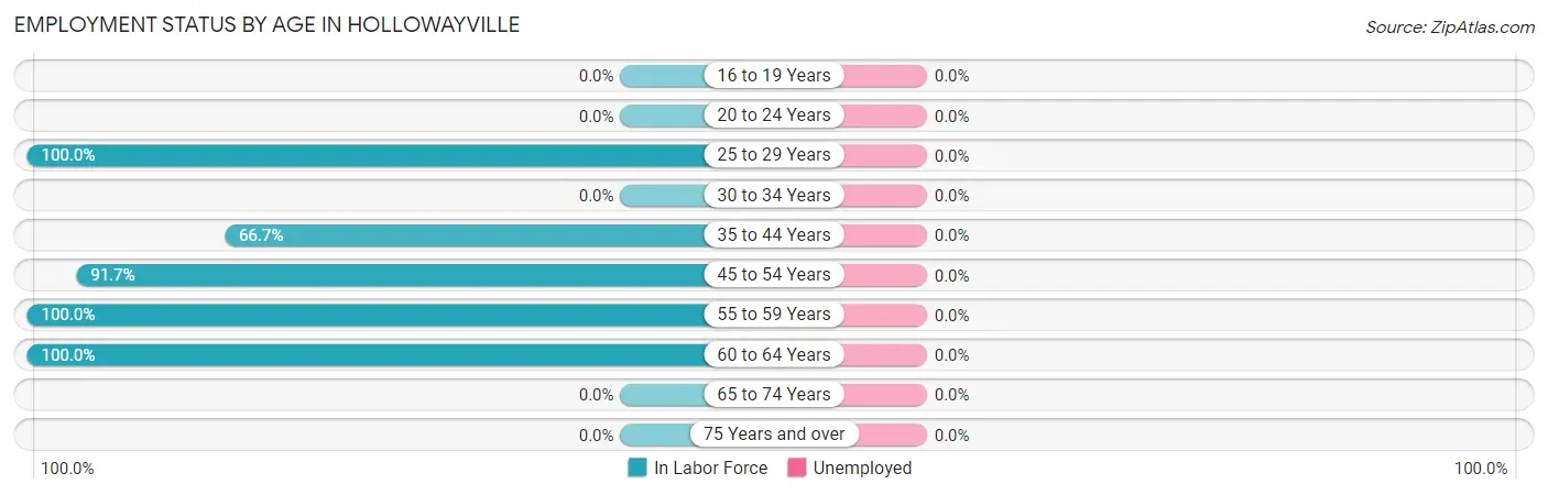 Employment Status by Age in Hollowayville