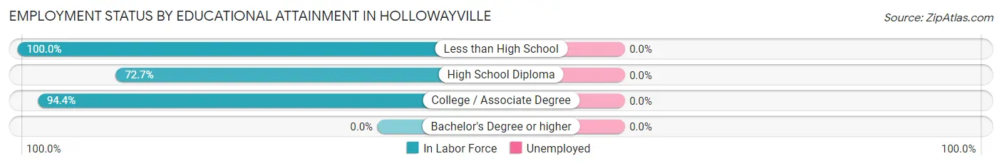 Employment Status by Educational Attainment in Hollowayville