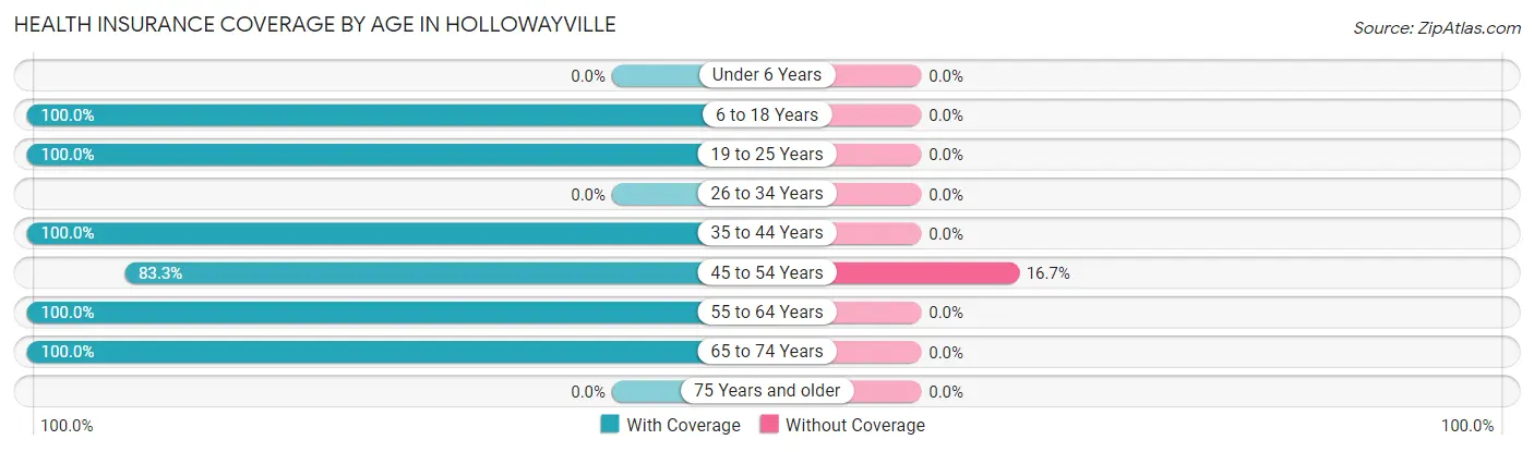 Health Insurance Coverage by Age in Hollowayville