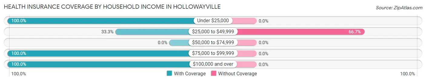 Health Insurance Coverage by Household Income in Hollowayville