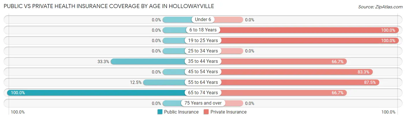 Public vs Private Health Insurance Coverage by Age in Hollowayville