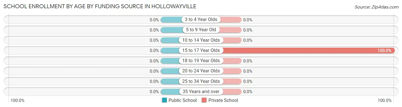 School Enrollment by Age by Funding Source in Hollowayville