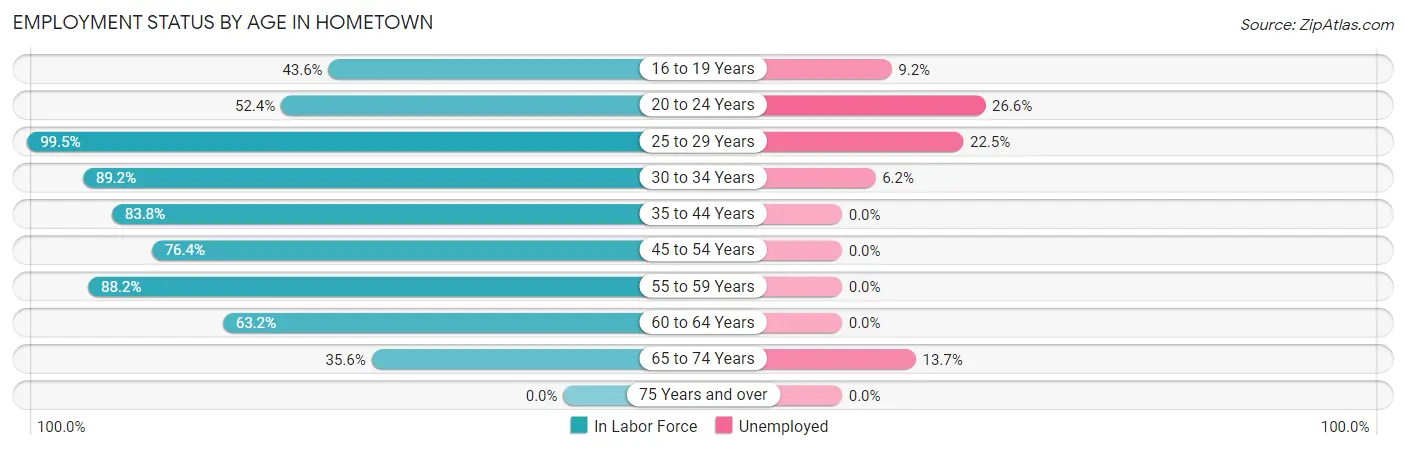 Employment Status by Age in Hometown