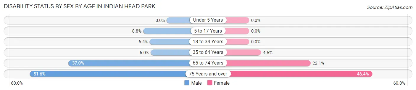 Disability Status by Sex by Age in Indian Head Park
