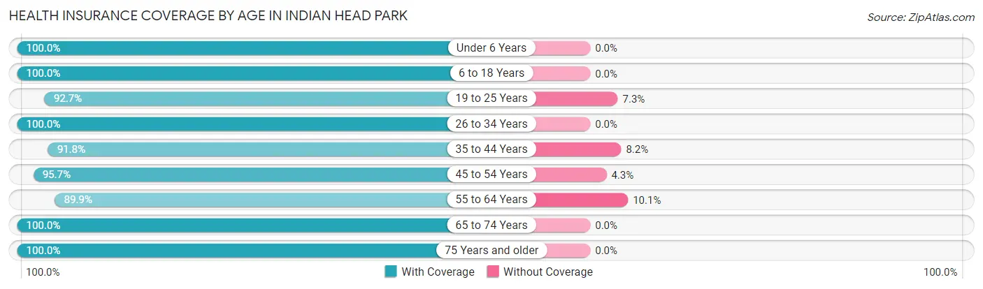 Health Insurance Coverage by Age in Indian Head Park