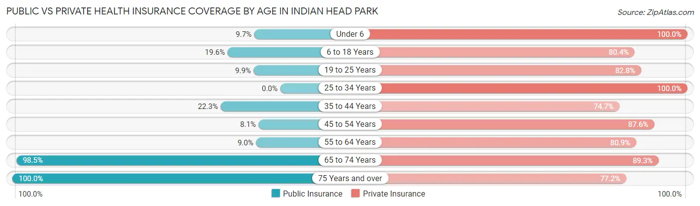 Public vs Private Health Insurance Coverage by Age in Indian Head Park