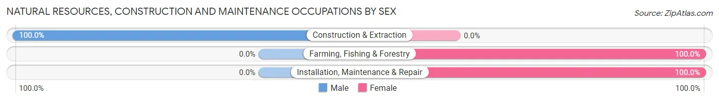 Natural Resources, Construction and Maintenance Occupations by Sex in Iroquois