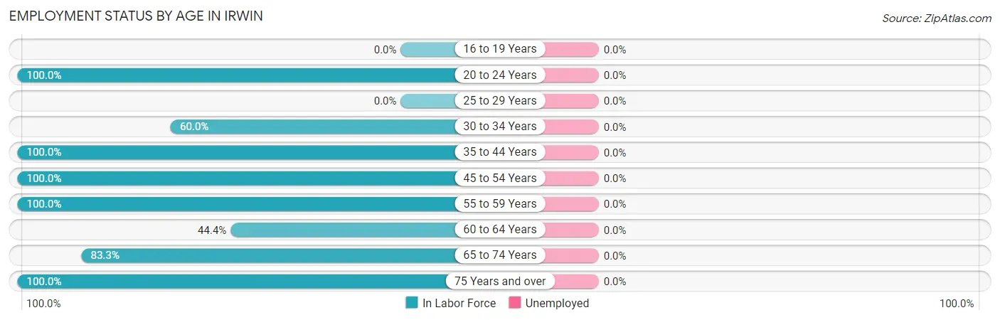 Employment Status by Age in Irwin