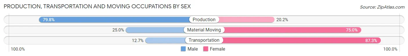 Production, Transportation and Moving Occupations by Sex in Johnsburg