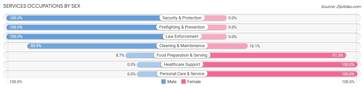 Services Occupations by Sex in Johnsburg