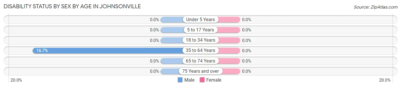 Disability Status by Sex by Age in Johnsonville