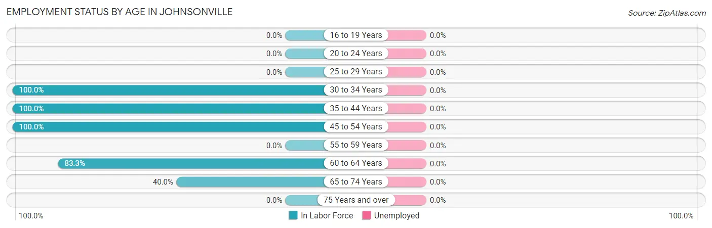 Employment Status by Age in Johnsonville