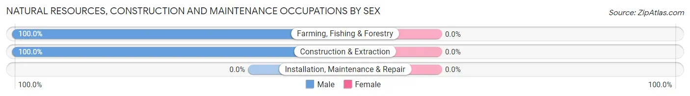 Natural Resources, Construction and Maintenance Occupations by Sex in Johnsonville