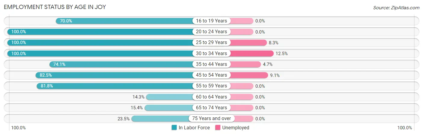 Employment Status by Age in Joy