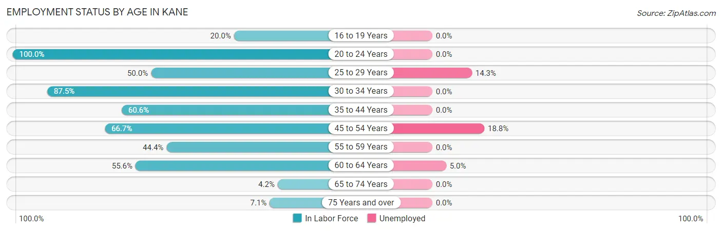 Employment Status by Age in Kane