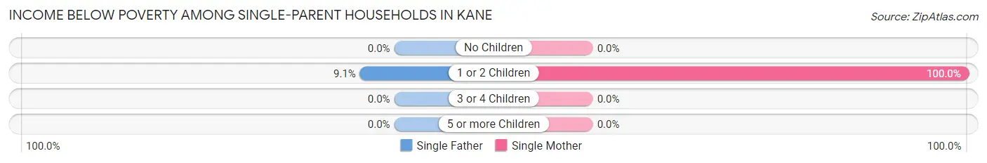 Income Below Poverty Among Single-Parent Households in Kane