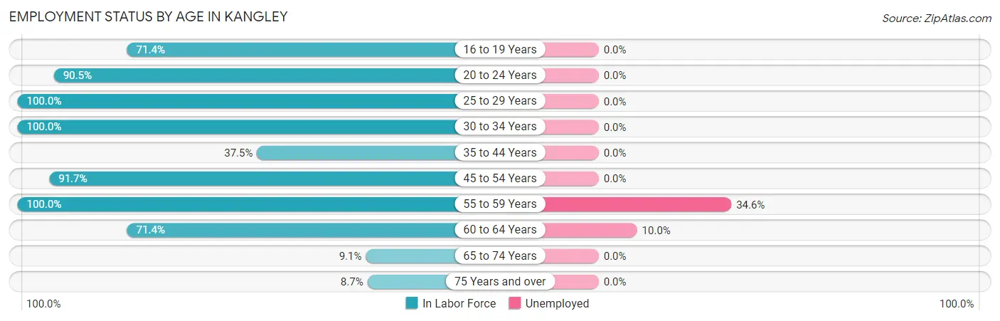 Employment Status by Age in Kangley