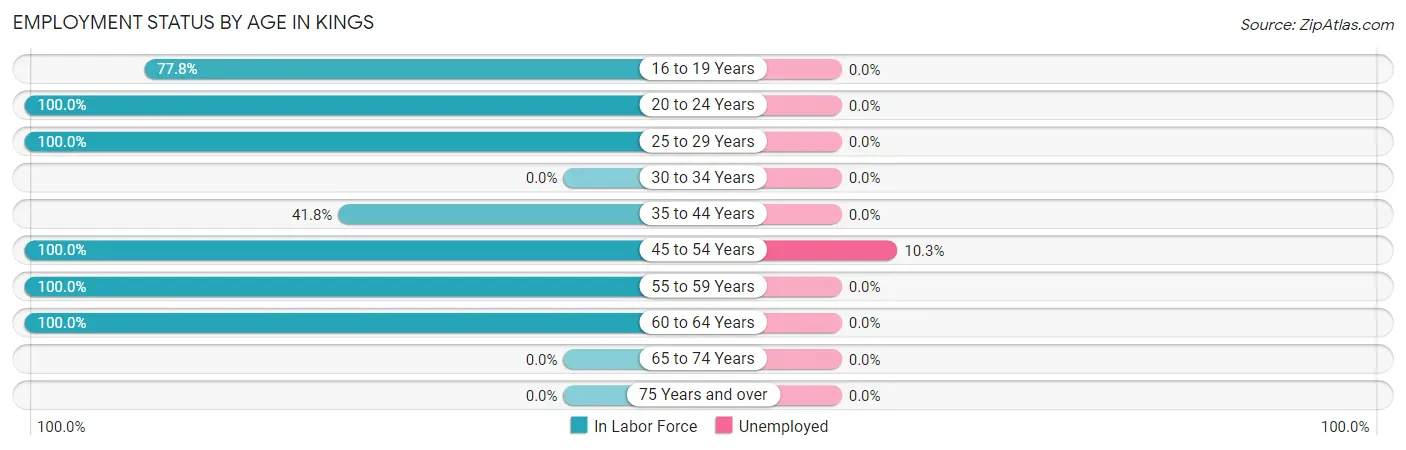Employment Status by Age in Kings