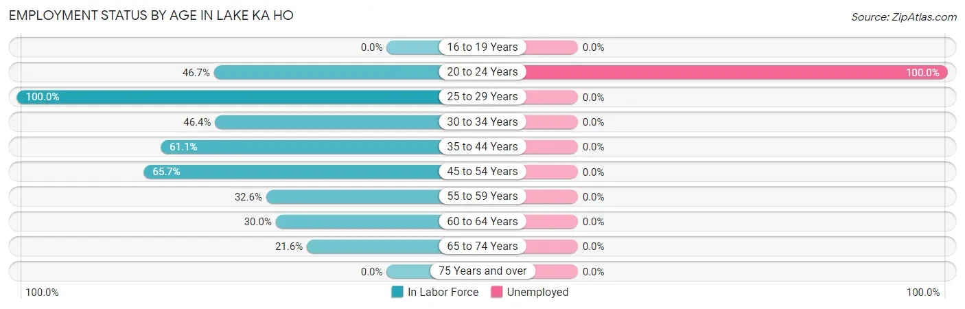 Employment Status by Age in Lake Ka Ho