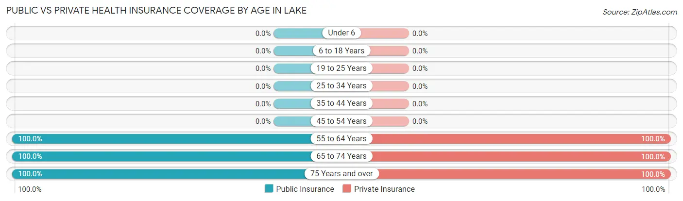 Public vs Private Health Insurance Coverage by Age in Lake