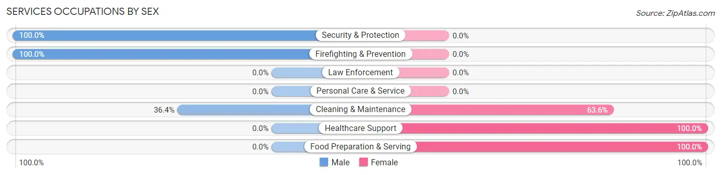 Services Occupations by Sex in Lenzburg