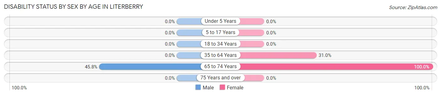 Disability Status by Sex by Age in Literberry