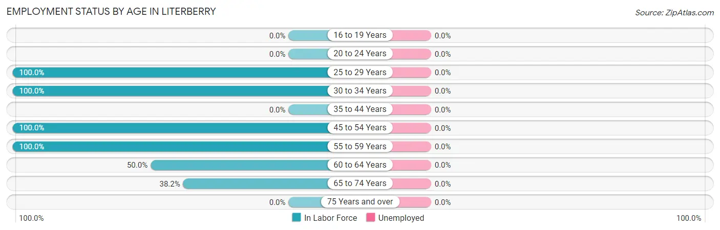 Employment Status by Age in Literberry