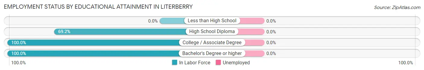 Employment Status by Educational Attainment in Literberry