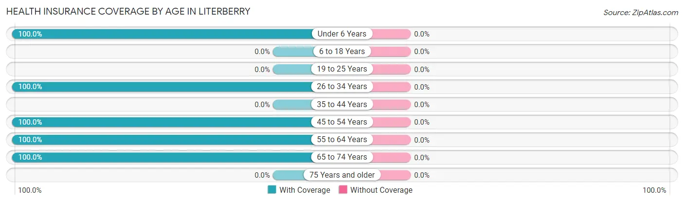 Health Insurance Coverage by Age in Literberry