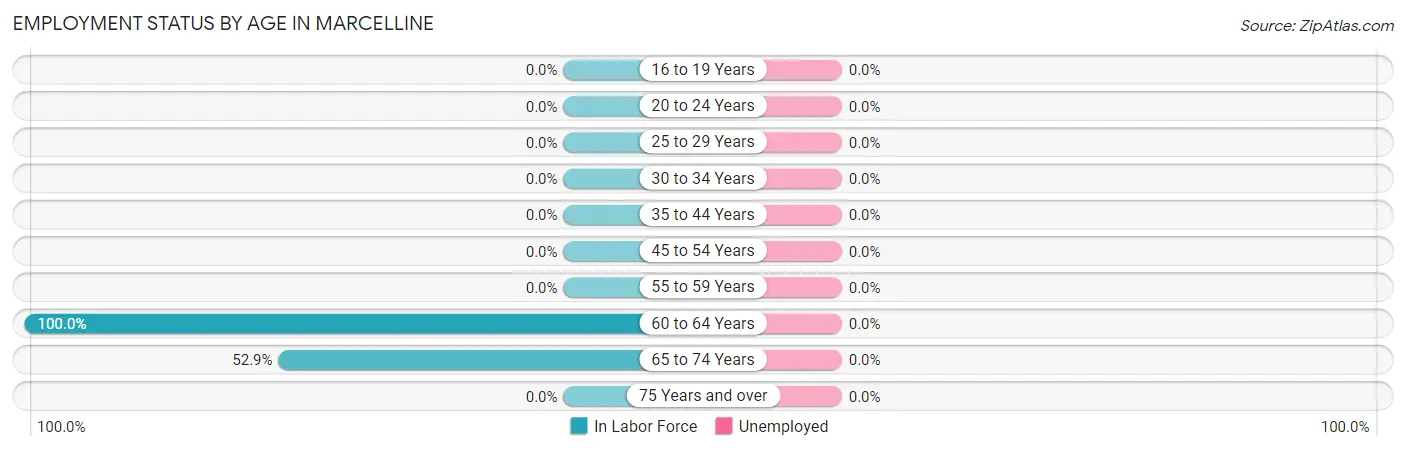Employment Status by Age in Marcelline