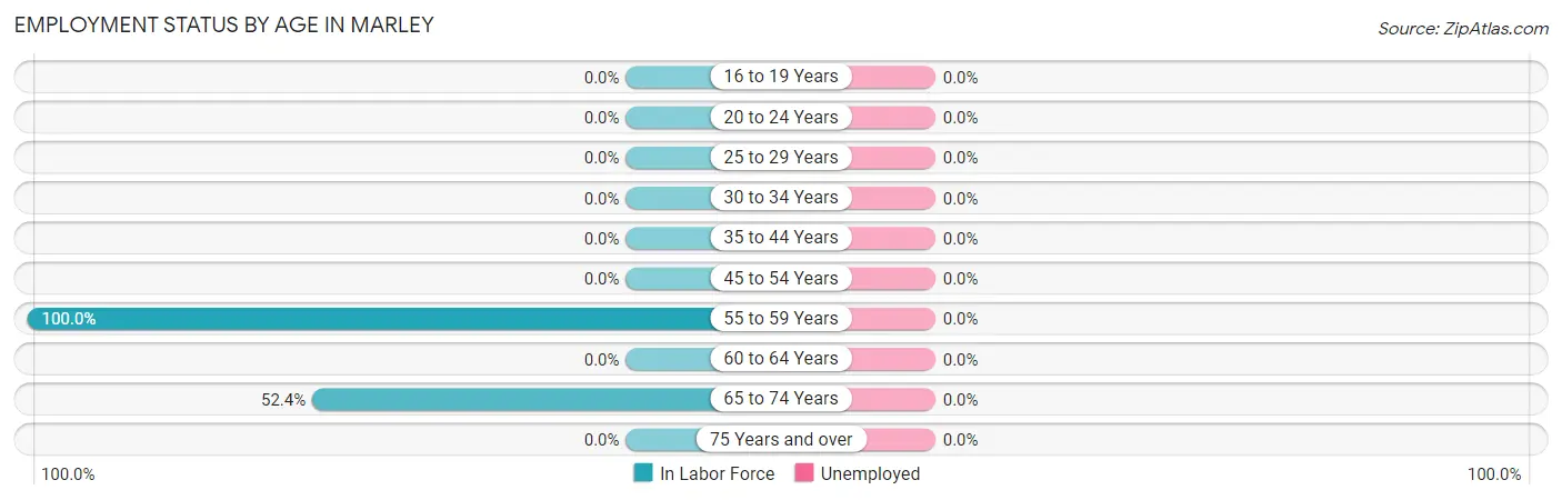 Employment Status by Age in Marley