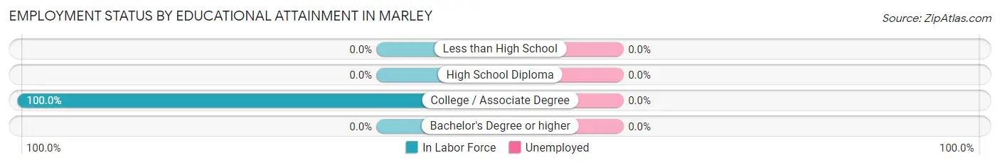 Employment Status by Educational Attainment in Marley