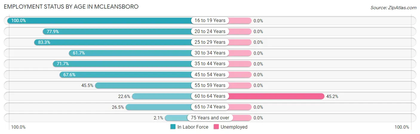 Employment Status by Age in McLeansboro
