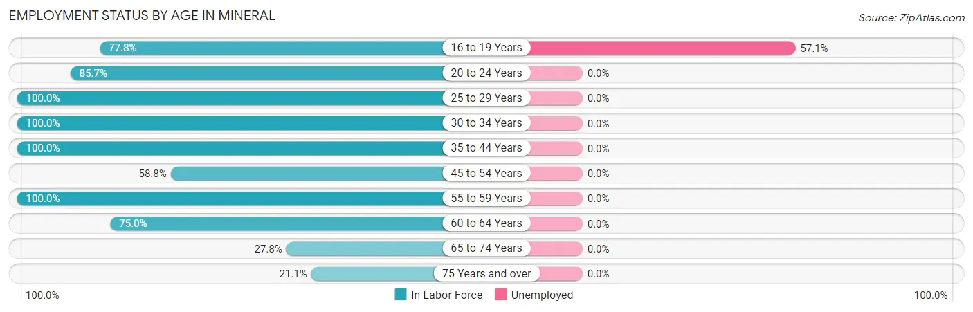 Employment Status by Age in Mineral