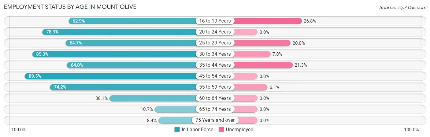 Employment Status by Age in Mount Olive