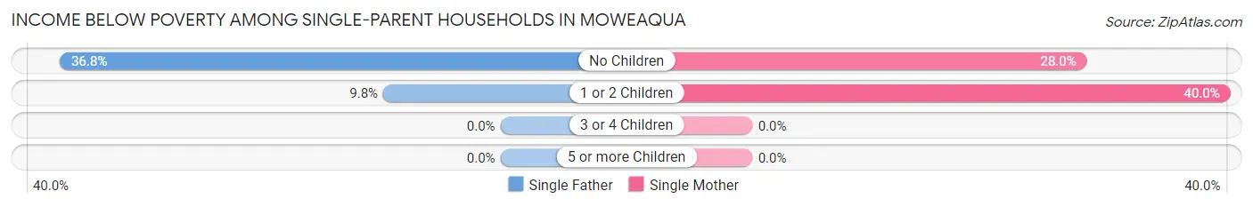 Income Below Poverty Among Single-Parent Households in Moweaqua