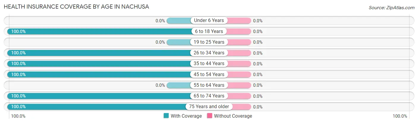 Health Insurance Coverage by Age in Nachusa