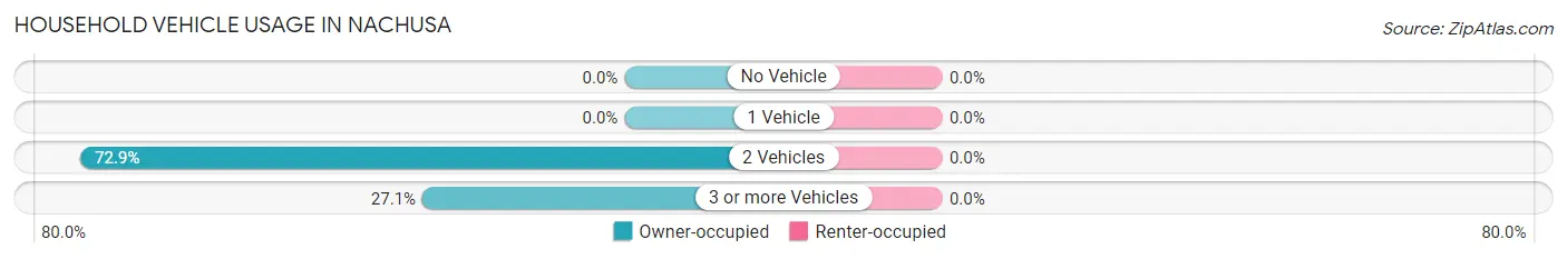 Household Vehicle Usage in Nachusa