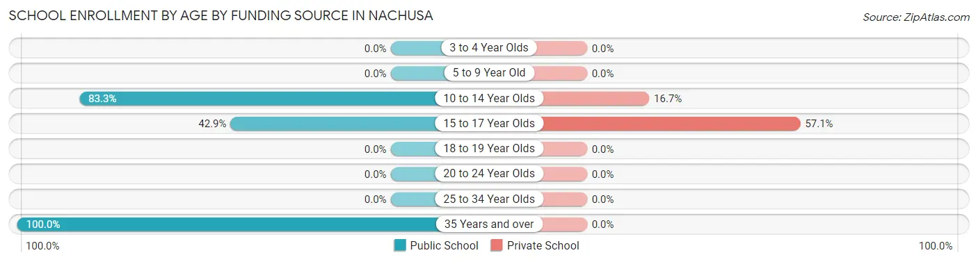 School Enrollment by Age by Funding Source in Nachusa