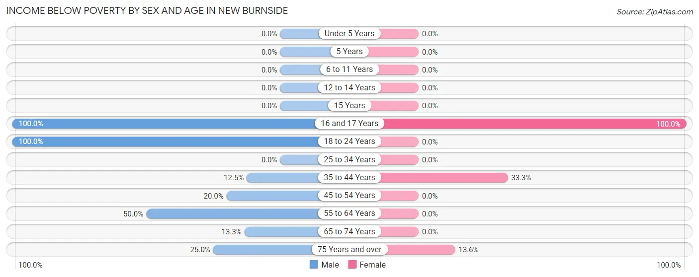 Income Below Poverty by Sex and Age in New Burnside