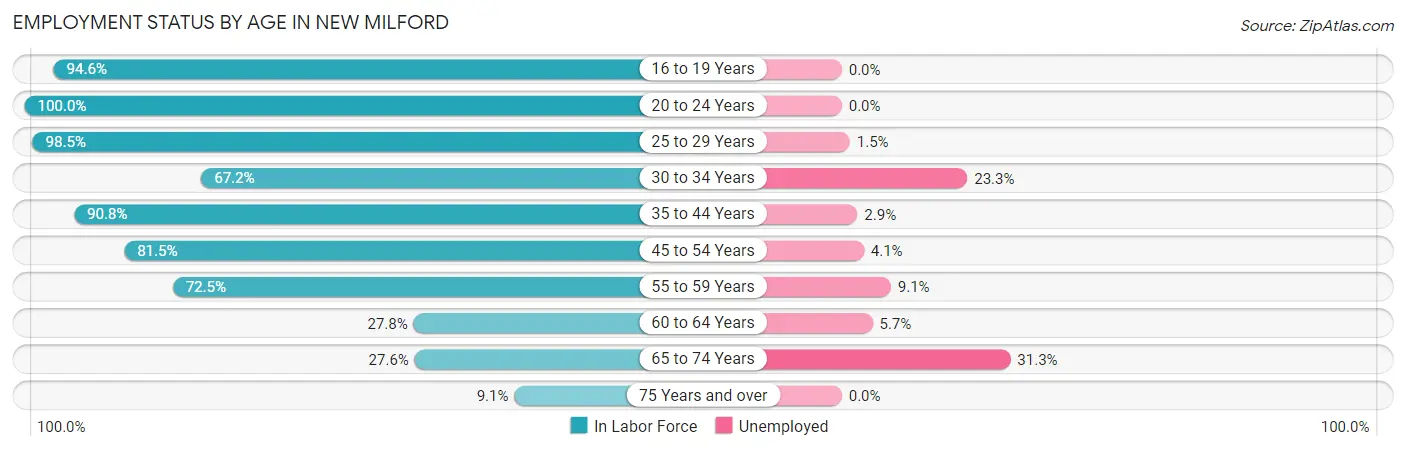 Employment Status by Age in New Milford