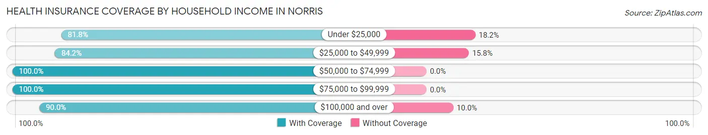 Health Insurance Coverage by Household Income in Norris