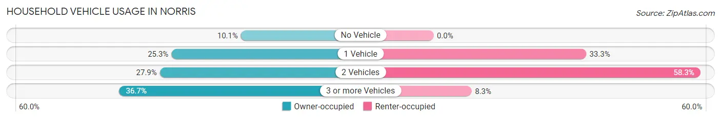 Household Vehicle Usage in Norris