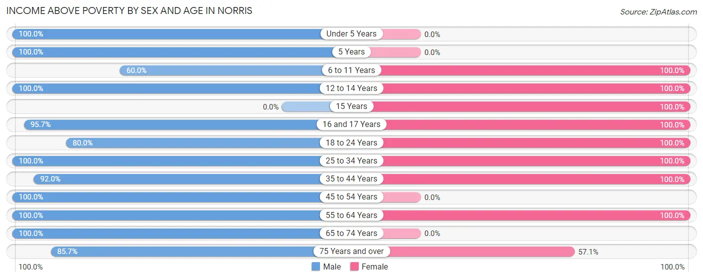 Income Above Poverty by Sex and Age in Norris