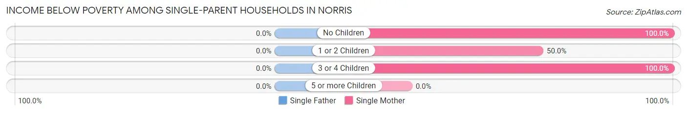 Income Below Poverty Among Single-Parent Households in Norris