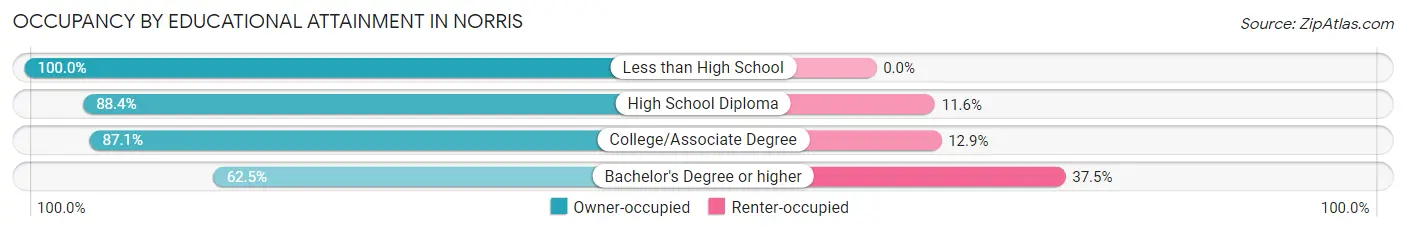 Occupancy by Educational Attainment in Norris