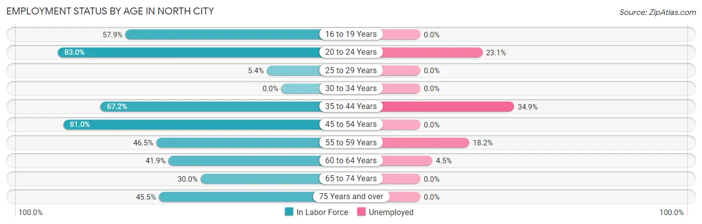 Employment Status by Age in North City