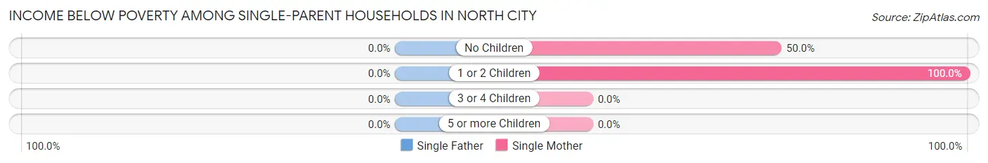 Income Below Poverty Among Single-Parent Households in North City