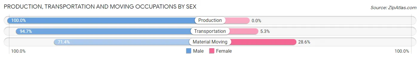 Production, Transportation and Moving Occupations by Sex in North City