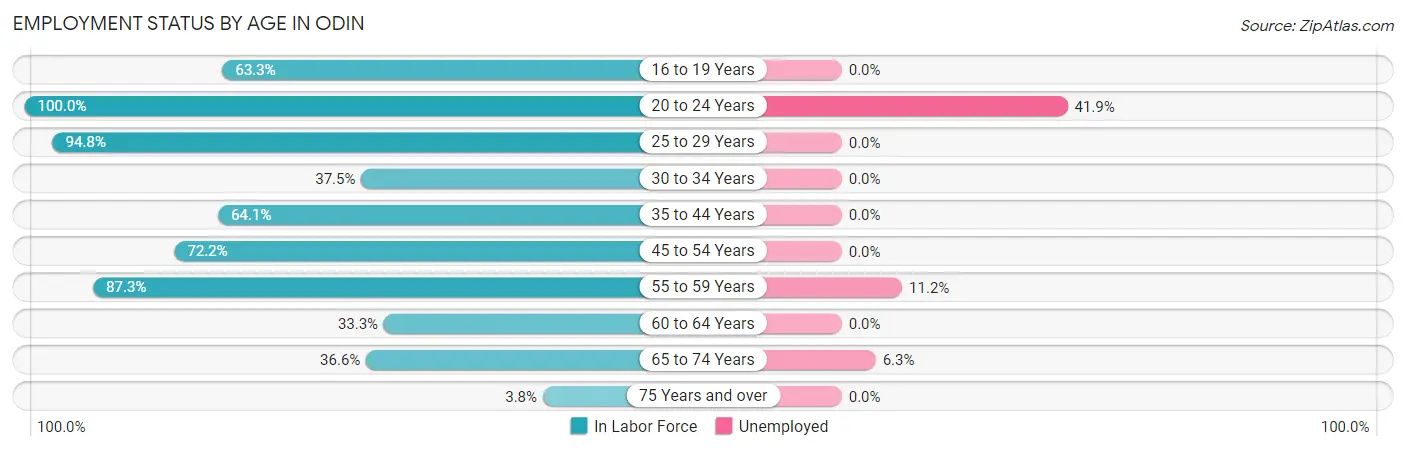 Employment Status by Age in Odin